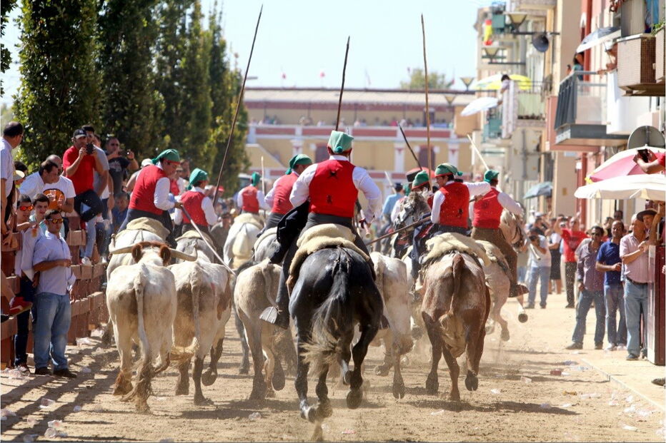 2018-09-28_17_37_31 2.jpg