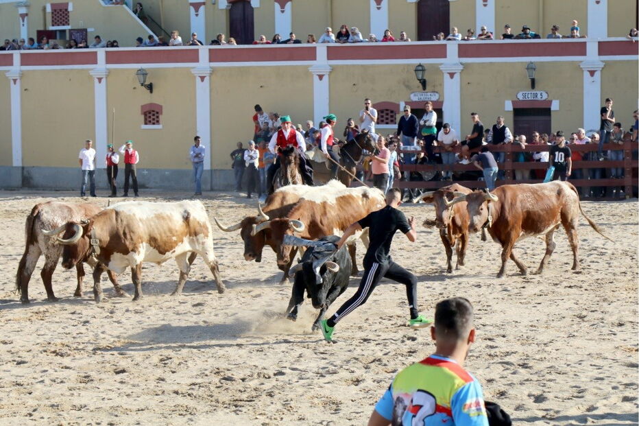 2018-09-28_17_37_42 17.jpg