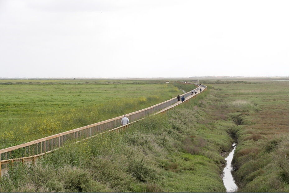 2018-09-28_17_37_43 19.jpg