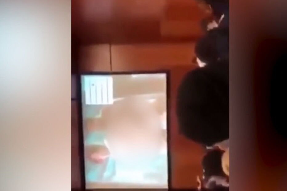 Projeção Steeve Joordens