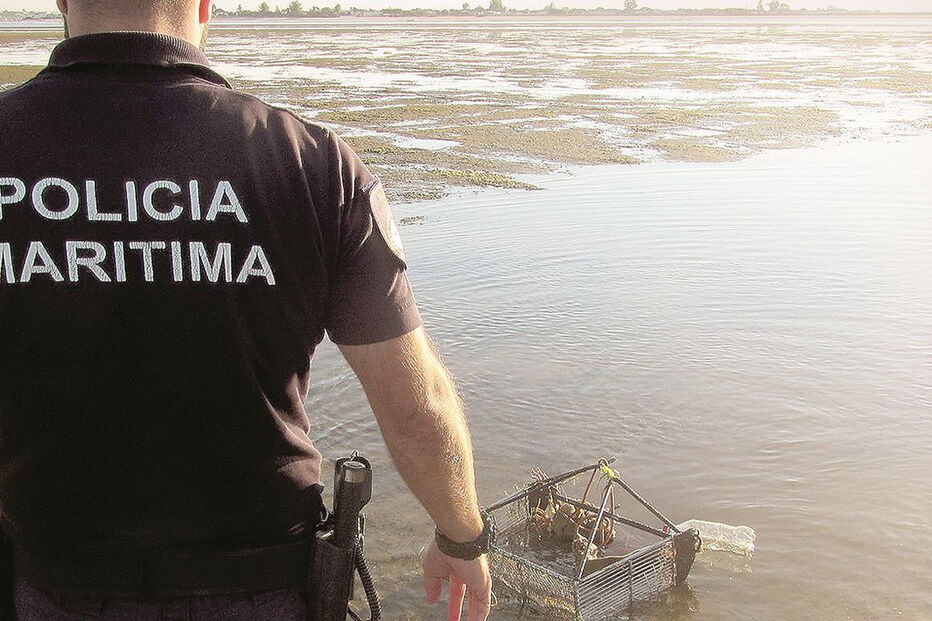 Polícia Marítima de Olhão está a reforçar a fiscalização na ria Formosa 