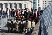 Rebanho de Ovelhas faz 'parar' ponte de Londres 