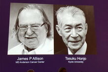 James P. Allison e Tasuko Honjo recebem Prémio Nobel da Medicina