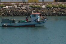 União Europeia, Portugal, Sardinha