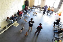 2018-10-03_12_35_15 1_V2.jpg