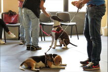 2018-10-03_12_35_16 2a_V2.jpg