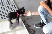 2018-10-03_12_35_17 IMG_1942_V2.jpg