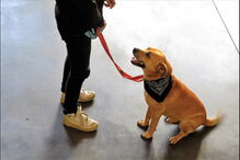 2018-10-03_12_35_18 IMG_7421_V2.jpg