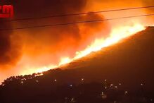 telefonema basílio horta