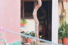 Homem de 56 anos morre em incêndio em Miranda do Corvo