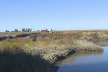 Idoso encontrado morto a boiar nas salinas de Aveiro
