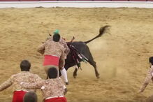 Forcado ferido com gravidade