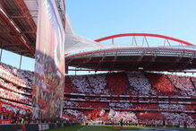 2018-10-09_16_11_44 luz.jpg