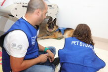 Pedro Paiva, especialista em comportamento animal, ajuda crianças