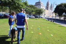 Pedro Paiva, especialista em comportamento animal, ajuda crianças