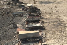 Monchique, Ministério da Agricultura, Programa de Desenvolvimento Rural