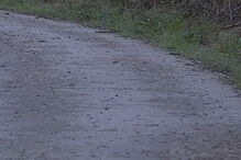 Homem esfaqueado junto a praia em Viana do Castelo