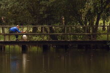 Animais mortos no Parque Urbano do Rio Ul, em S. João da Madeira, provocou choque e indignação na população  