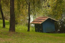 Animais mortos no Parque Urbano do Rio Ul, em S. João da Madeira, provocou choque e indignação na população  