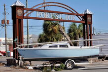 Furacão Michael assola Estados Unidos