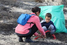 Reflorestação do Parque Natural Sintra-Cascais começou este sábado
