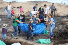 Reflorestação do Parque Natural Sintra-Cascais começou este sábado