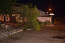 Furacão Leslie deixou estragos na Figueira da Foz 