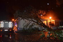 Casa atingida por árvore, no Porto