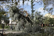Figueira da Foz arrasada à passagem do furacão Leslie