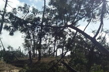 Danos na rede elétrica