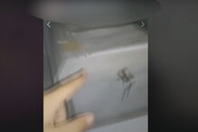 Quatro jovens menores abrem urna de combatente em Vendas Novas