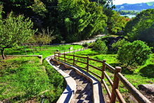 Botânico de Coimbra 