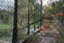 Ténis Clube Choupal em Coimbra