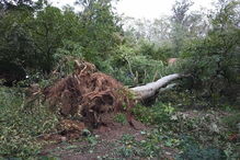 Ténis Clube Choupal em Coimbra