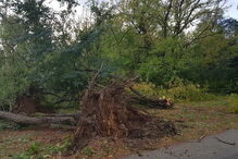 Ténis Clube Choupal em Coimbra