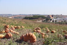 2018-10-18_11_10_17 5.jpg