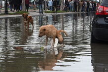 Cinco mortos e dois desaparecidos após cheias inesperadas na Tunísia
