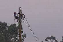 EDP Distribuição, Leslie, Coimbra