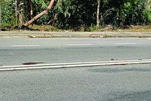 Idosa passeava a cadela, como era habitual, na rua D. Miguel 