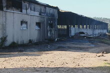 Incêndio em vacaria mata 500 vacas na Póvoa de Varzim