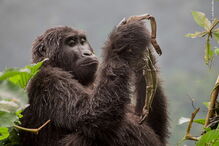 Imagens vencedoras do concurso 