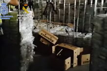 PJ ajuda polícia espanhola a apreender 6,3 toneladas de cocaína em bananas