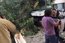 Acidente com autocarro no Porto causa dez feridos