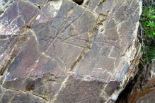 Descobertas mais gravuras rupestres no Vale do Côa