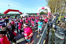 Maratona quer bater recorde, Porto
