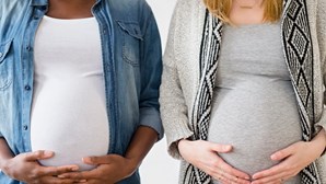 Faculdade de Medicina do Porto vai recrutar 200 grávidas para estudo