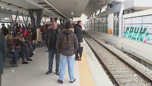 Quase 400 comboios suprimidos até às 12h devido a greve dos trabalhadores da CP e IP 
