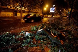 Furacão Leslie derrubou árvores e condicionou trânsito em Lisboa