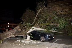Poste e árvore caíram em cima de carro na avenida principal da Figueira da Foz