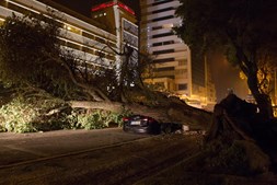  Poste e árvore caíram em cima de carro na avenida principal da Figueira da Foz